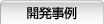 開発事例