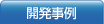 開発事例